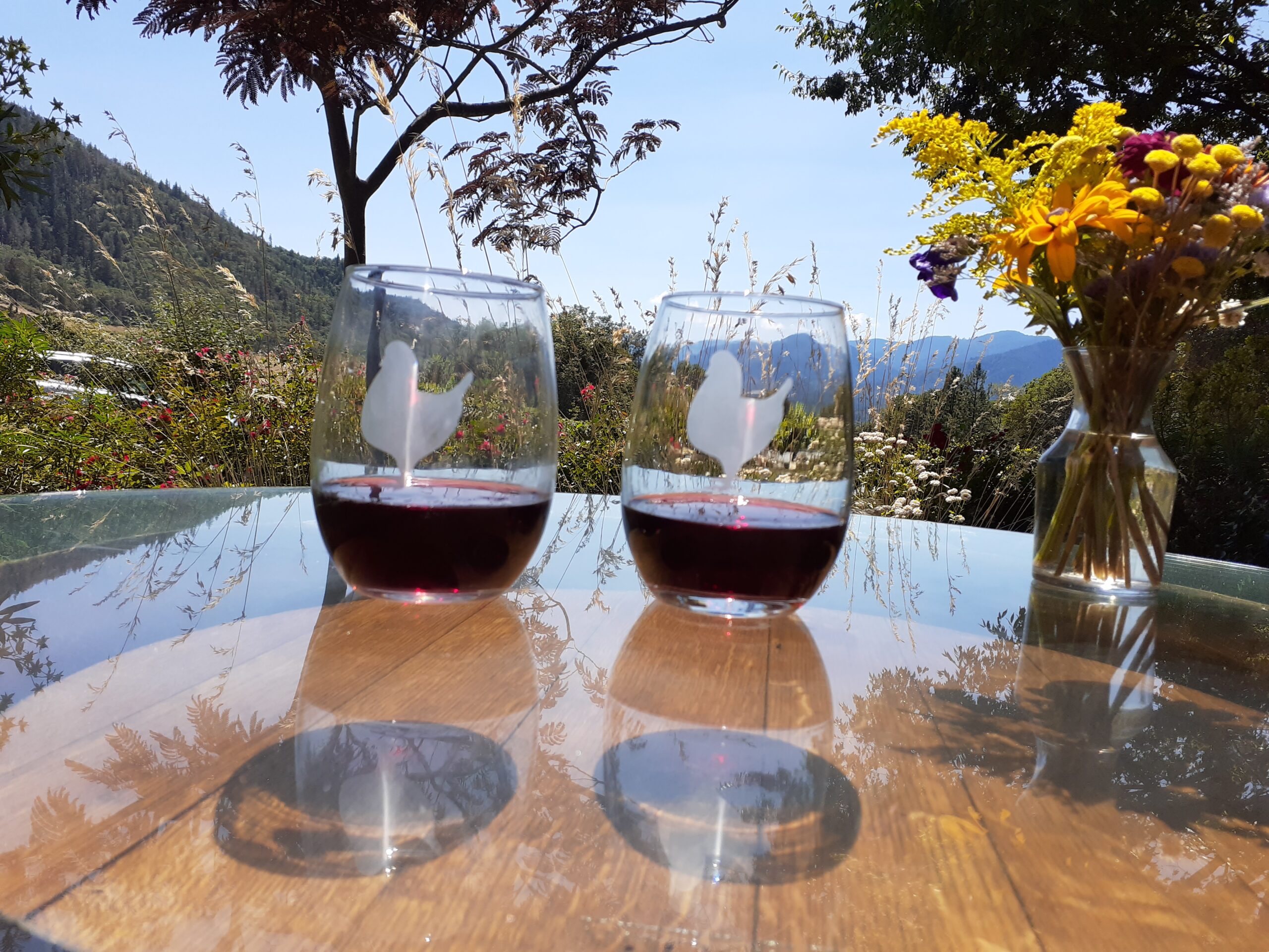 Vineyard Stemless White Wine Glass + Reviews