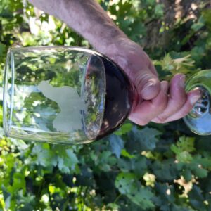 Modena Pigeon on Long Stem Wine Glass