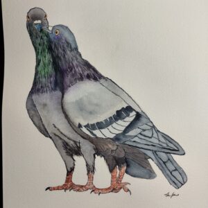 Commission Your Own Pigeon Painting