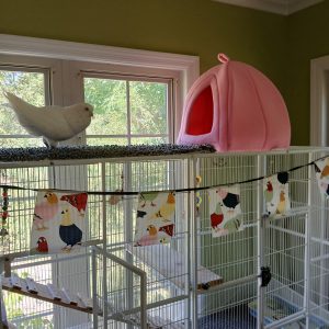 Seasonal Cage Flag (rectangles) -- Colorful Pigeons